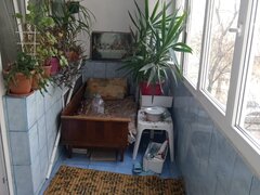 Militari (statie de Gorjului, Iuliu Maniu)